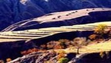 大追歼（上）